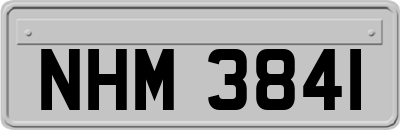 NHM3841