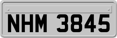 NHM3845