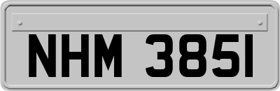 NHM3851