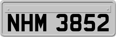 NHM3852