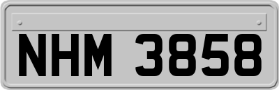 NHM3858