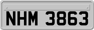 NHM3863