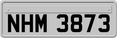 NHM3873