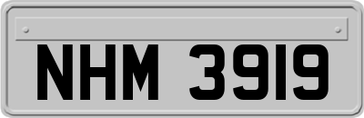 NHM3919