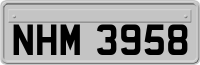 NHM3958