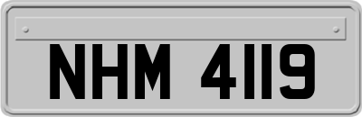 NHM4119