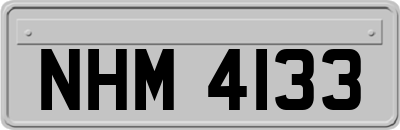 NHM4133
