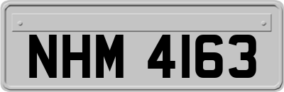 NHM4163