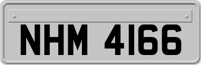 NHM4166