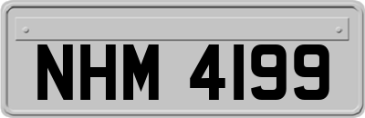 NHM4199