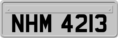 NHM4213