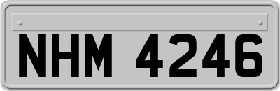 NHM4246