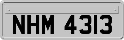 NHM4313