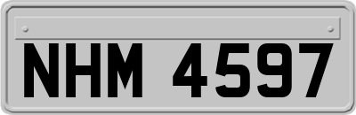 NHM4597