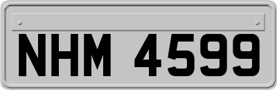 NHM4599