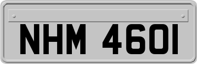 NHM4601