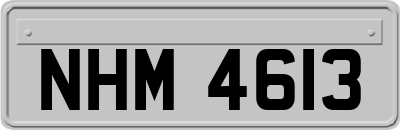 NHM4613