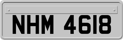 NHM4618