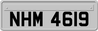 NHM4619