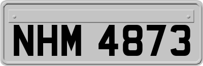 NHM4873