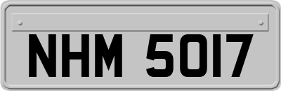 NHM5017