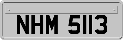 NHM5113
