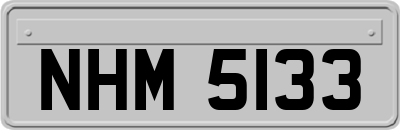 NHM5133