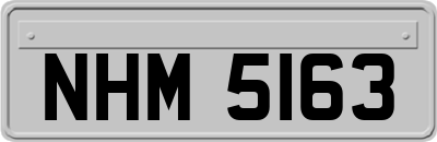 NHM5163