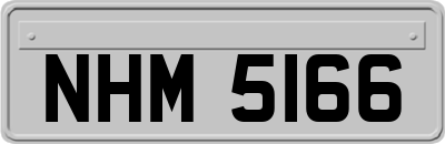 NHM5166