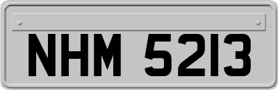 NHM5213