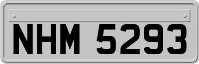 NHM5293