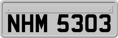 NHM5303