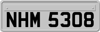NHM5308