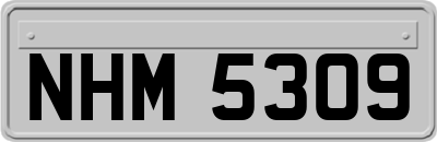 NHM5309