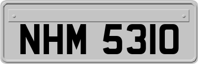 NHM5310
