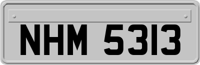 NHM5313