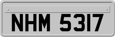 NHM5317