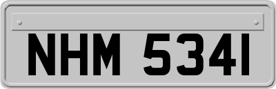 NHM5341