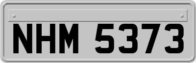 NHM5373