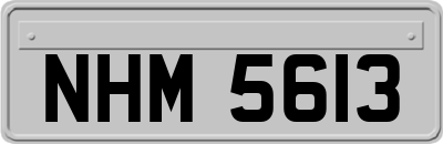 NHM5613