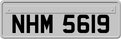 NHM5619