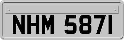 NHM5871