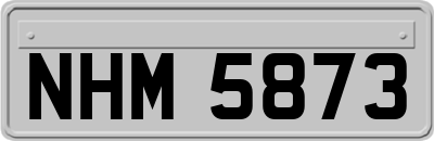 NHM5873