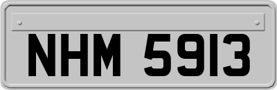 NHM5913