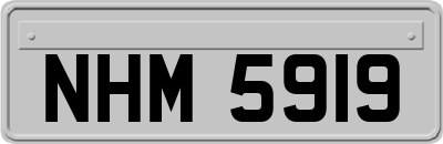 NHM5919