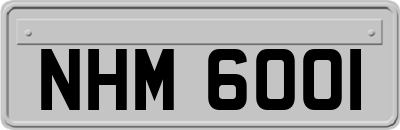 NHM6001