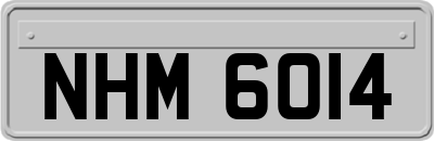 NHM6014
