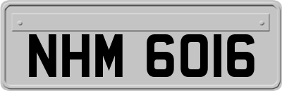 NHM6016