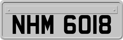 NHM6018