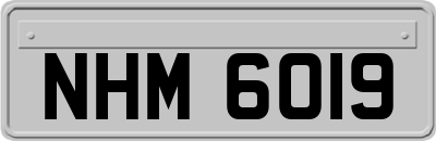 NHM6019